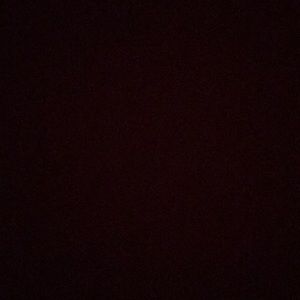 Meet your Posher, Lidia